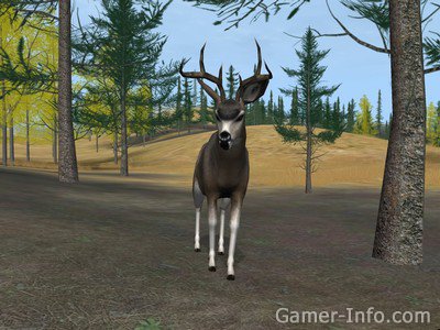 Deer Hunter 2004 Pc Game