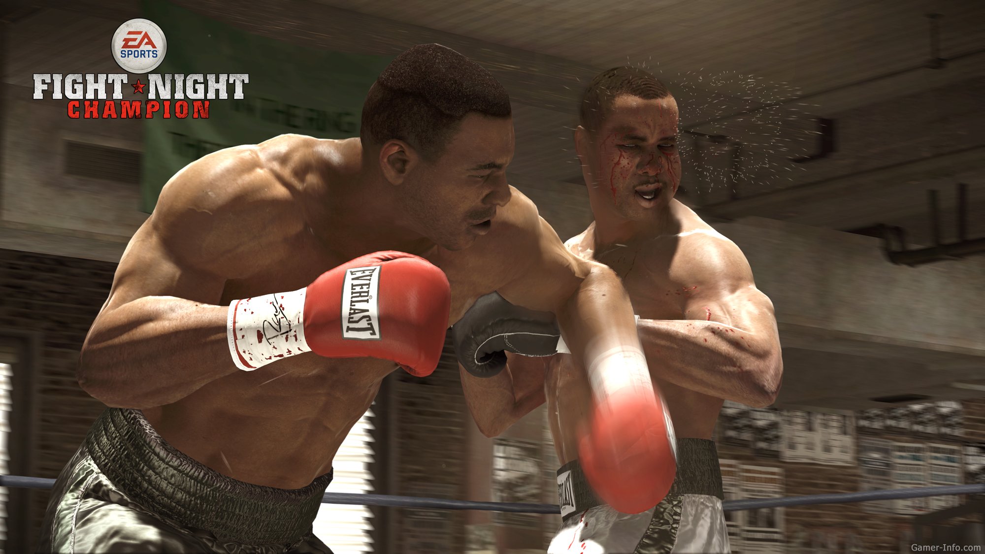 Fight Night Champion (2011 video game)