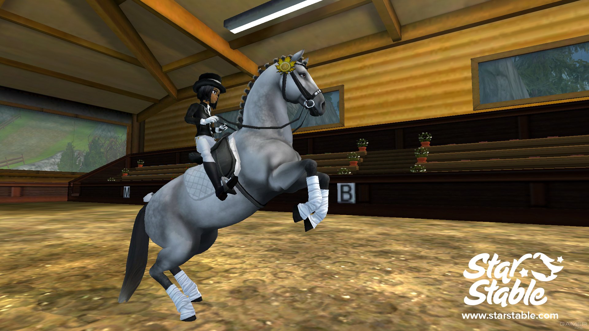 Star stable steam фото 76